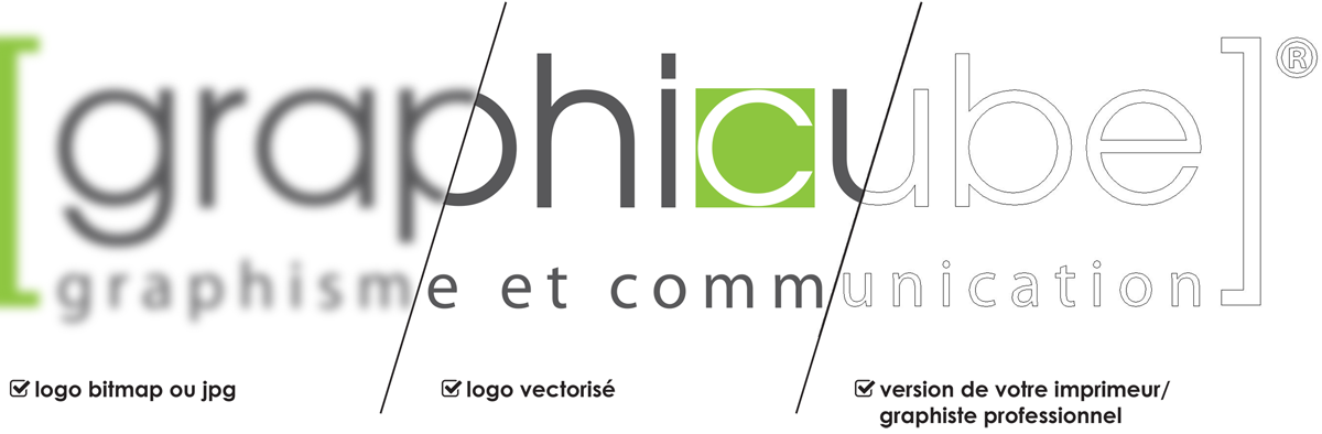 check-logo