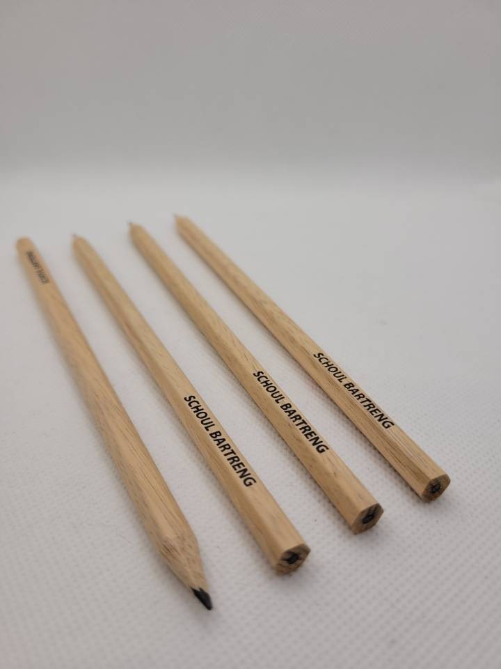 Schoul-Bartreng-crayon-bois