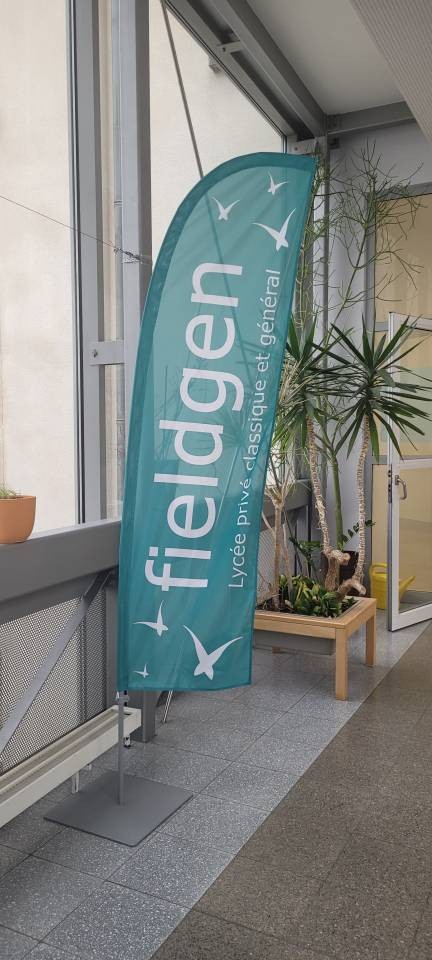 beachflag-Fieldgen